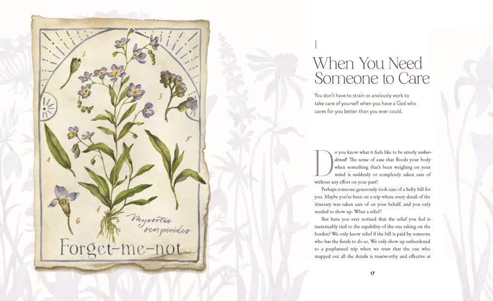 Wildflower Soul Awakening Meditations