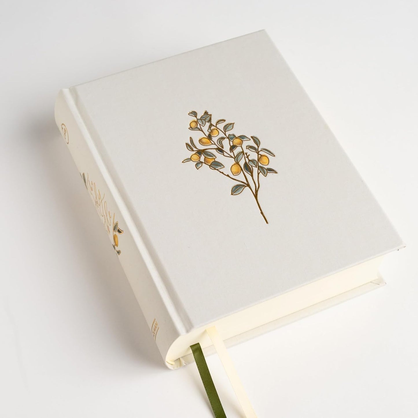 Inspirational Women's Journaling Bible