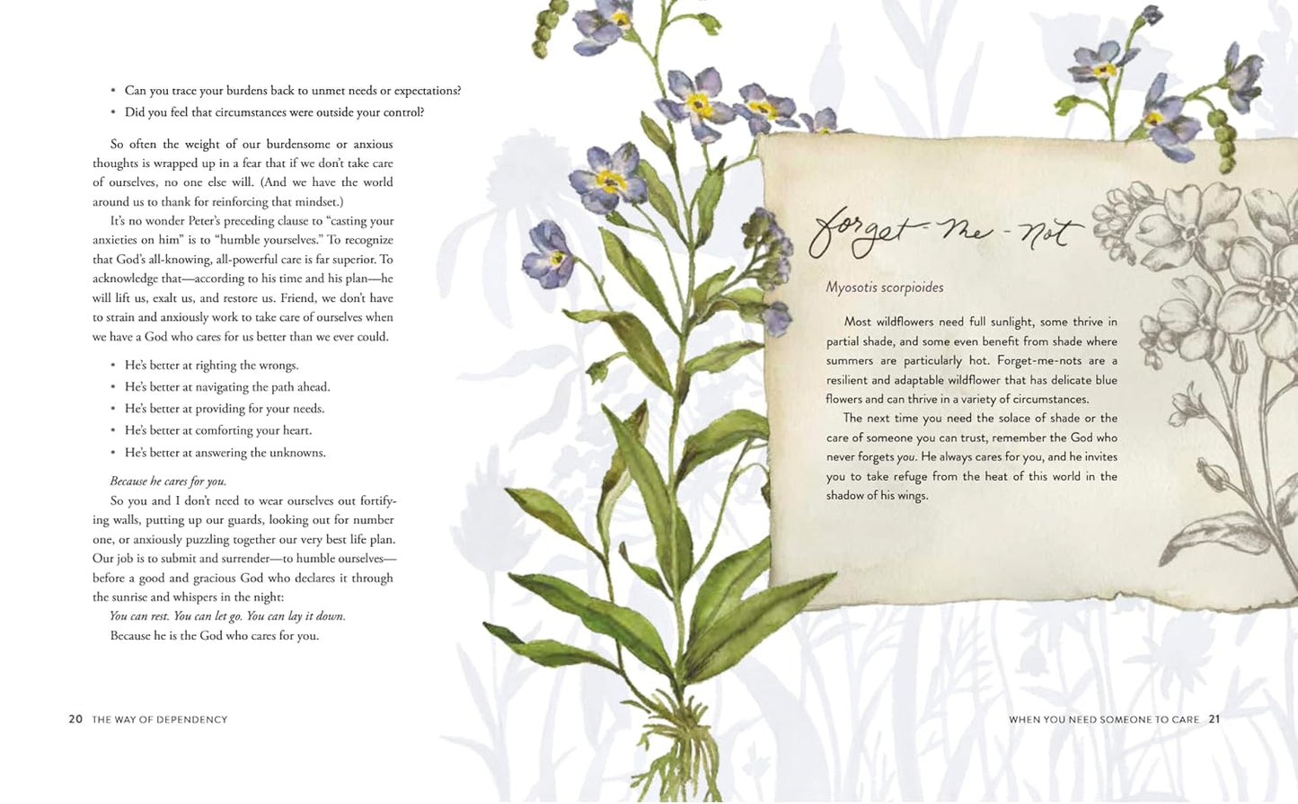 Wildflower Soul Awakening Meditations