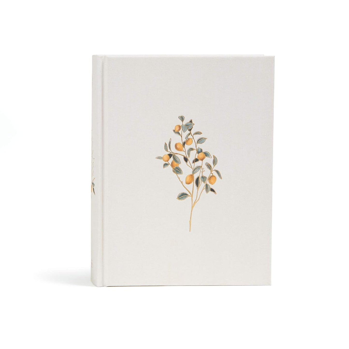 Inspirational Women's Journaling Bible