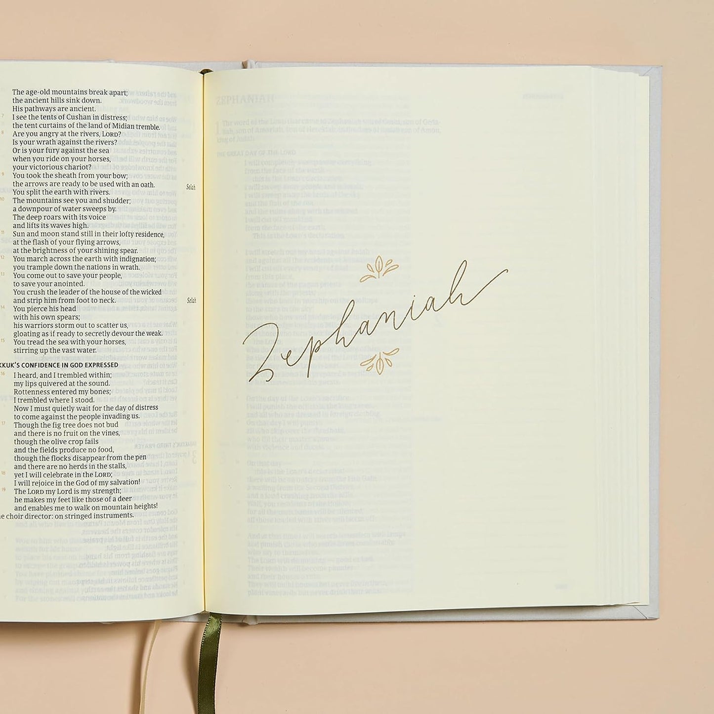 Inspirational Women's Journaling Bible